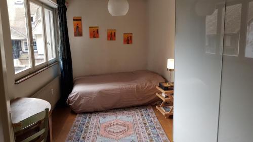 Apartamento La Puisati�re 80 M2