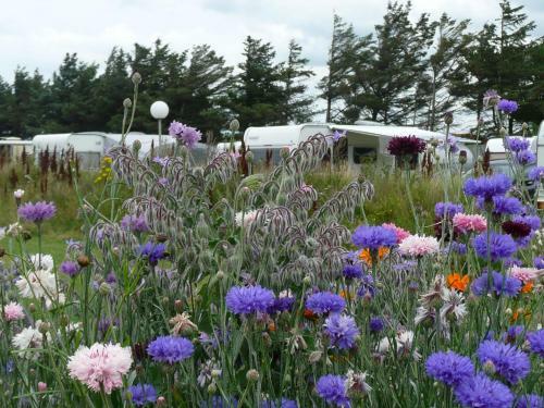 L�nstrup Camping Cottages & Rooms