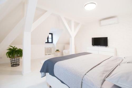 Apartm�n M�cha U Zlat� Hv?zdy