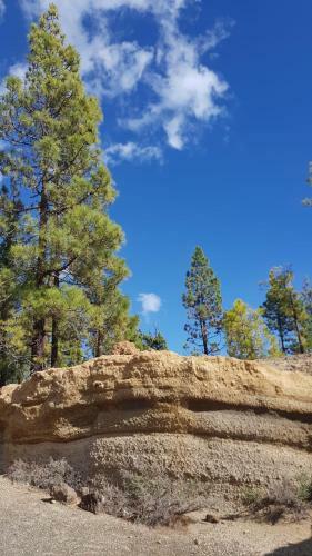 Apartamento Playa Bonita