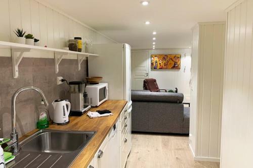 Newly Renovated Basement Apartment