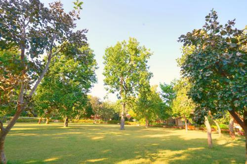Hotel Bundela Bandhavgarh By Octave