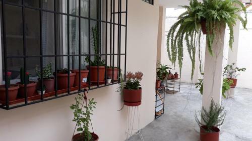 Acuarela Apartment