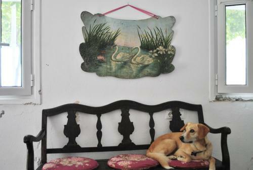 Portela Beach House