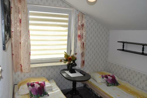 Apartamento Pokoje Go?cinne Max