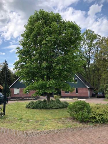 't Hulzen 55 Or 61 Winterswijk