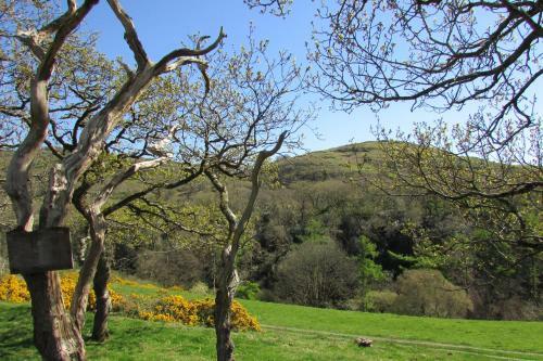 Golygfa'r Cwm