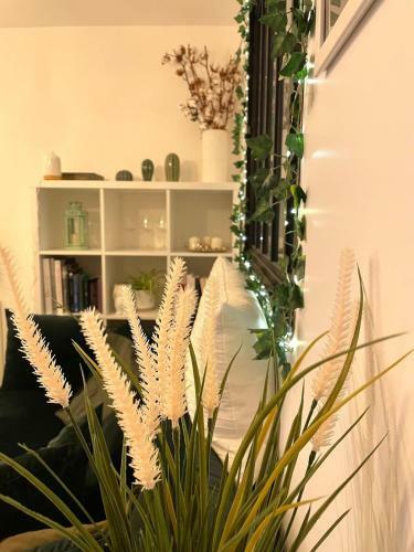 Apartamento Petit Cocon Au C?ur D'annecy