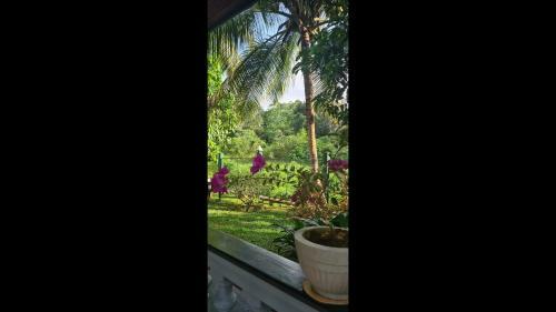 Hostal Room In Bb - Suma Villa, Lovely Double-room