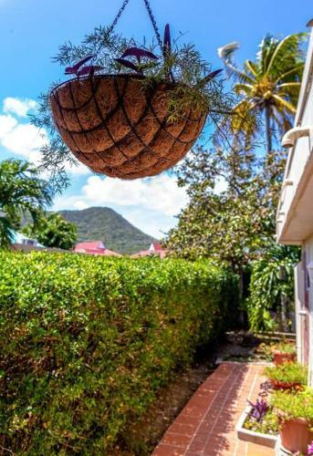 Attractive 4 Br House, 3 Min Walk To Reduit Beach