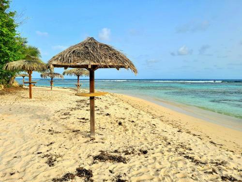 Apartamento Charmant Studio Avec Piscine Et Plage - Anse Des Rochers