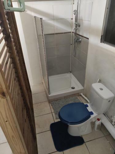 Agr�able Maison Type F2, Rivi�re-sal�e