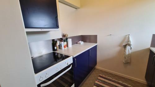 2 Room Apartment Close To Mch