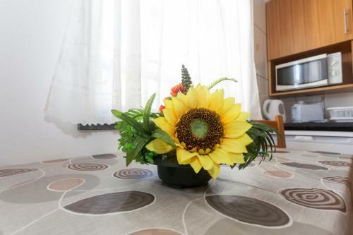 Apartamento Vivenda Oliveira