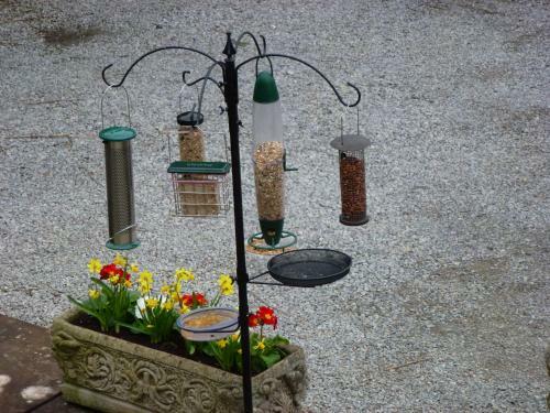 Bed & Breakfast Lakeside Country Guest House