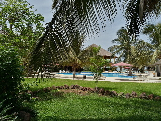 Royal Saly