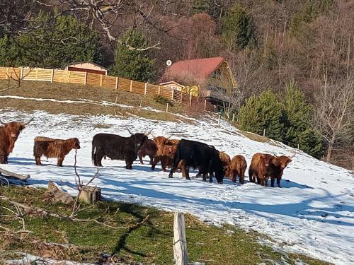 Agroturismo Turizem Gra?i?~gradi?nik