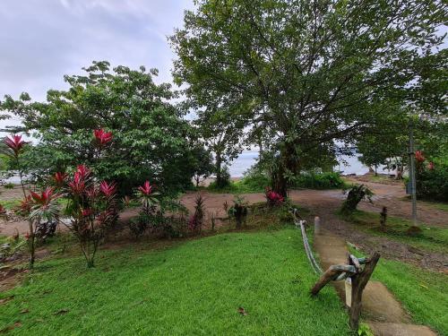 Bed & Breakfast Osa Corcovado Lodge
