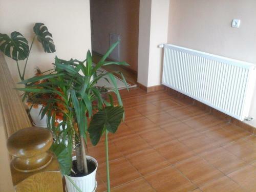 Hostal Pensiunea Georgiana