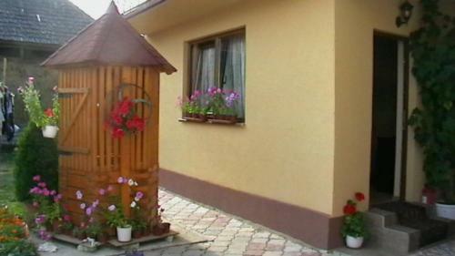 Hostal Pensiunea Georgiana