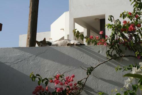 Albergue Auberge Keur Diame