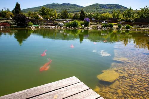 Hostal Amenity Penzion Horni Vestonice