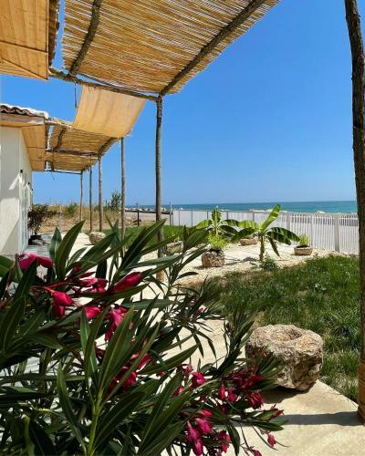 Hostal Mediterana Bungalows