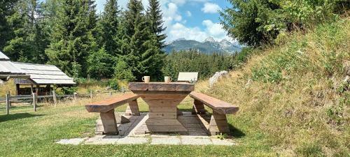 Planinska Hi?ica Pod Macesni