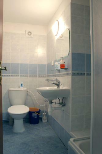 Penzion Apartm�n Janov