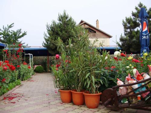 Hostal Pension Casa Margo