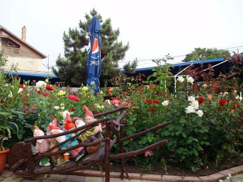 Hostal Pension Casa Margo