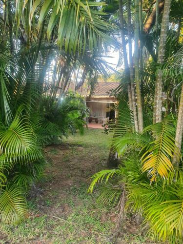 Apartamento Whispering Palms