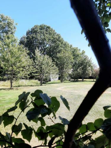 Villa Bon Moment D�tente