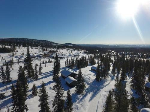 Cottage Right Next To Cross Country Tracks