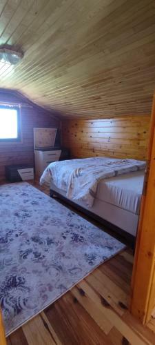Lodge Karester Tepe Apart