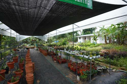 Hotel Carmel Tourism Village