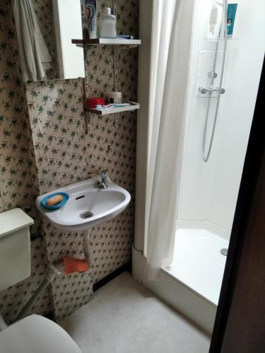 Apartamentos Casuta Olandeza