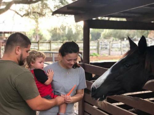Hostal Heart Of Palms Ranch And Eco-farm