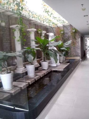 Hotel Ngoc Tung Riverside