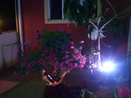 Hostal Pensiunea Sole Mio