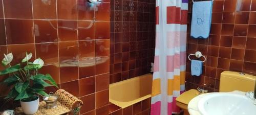 Apartamento Elche Holidays