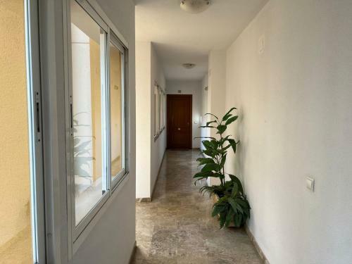 Apartamento Luminoso En C�rdoba