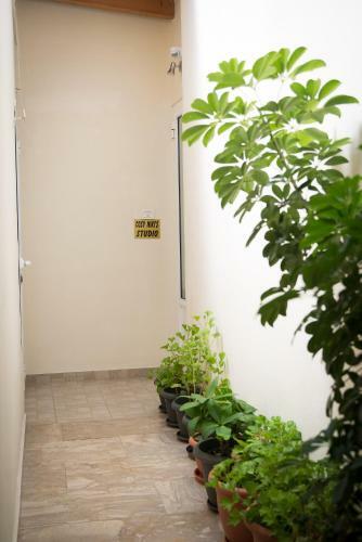 Apartamento Cosy Nikis Studio In Heraklion Creta