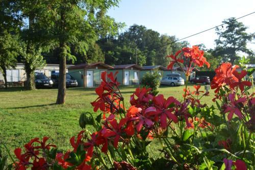 Marina T�nec N. L. - Kemp