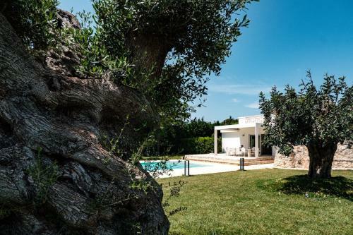 Villa Trulli Sampaolo