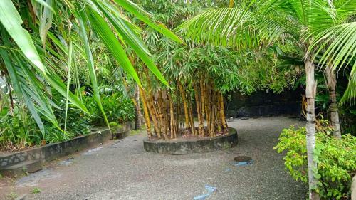 Hostal Petit Ana Beach Retreat