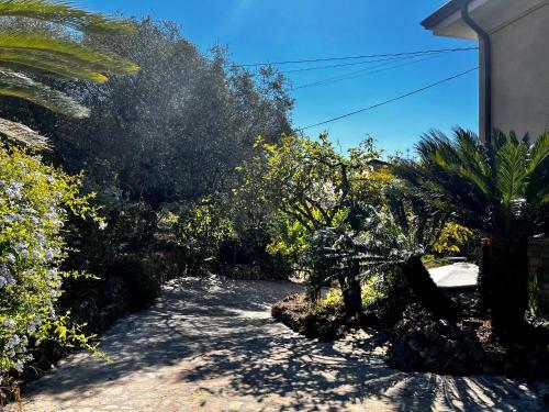Apartamento Il Giardino Delle Cycas