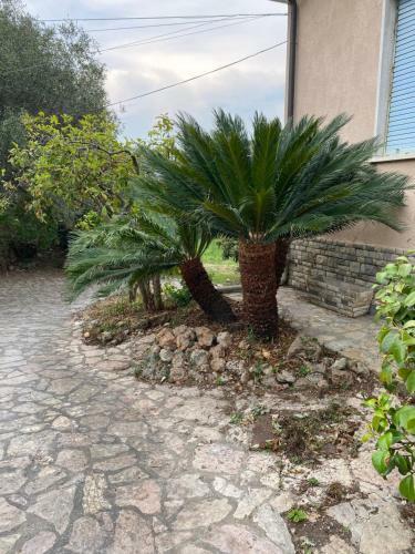 Apartamento Il Giardino Delle Cycas