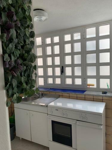 Apartamento Appartamento Ischia Porto