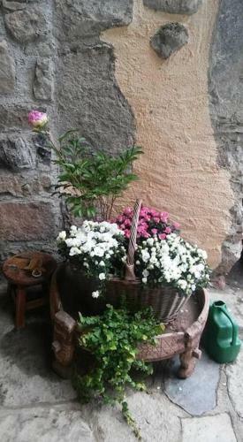 Da Betty Nel Borgo